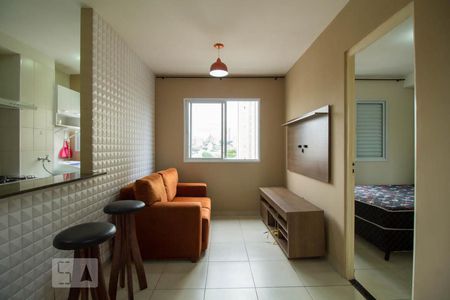 Sala de apartamento para alugar com 1 quarto, 33m² em Cambuci, São Paulo