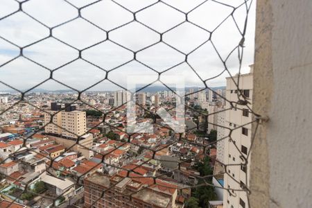 Apartamento para alugar com 116m², 3 quartos e 2 vagasVista