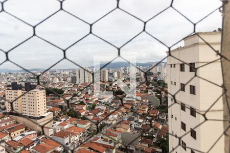 Apartamento para alugar com 116m², 3 quartos e 2 vagasVista