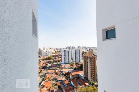 Apartamento para alugar com 119m², 3 quartos e 2 vagasVista Suíte 1