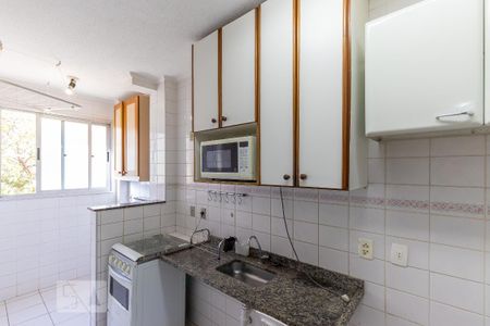 Cozinha de apartamento para alugar com 1 quarto, 42m² em Botafogo, Campinas