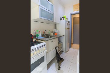 Apartamento à venda com 50m², 2 quartos e 1 vaga Apartamento à venda com 50m², 2 quartos e 1 vagaCozinhaCozinha
