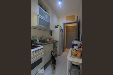 Apartamento à venda com 50m², 2 quartos e 1 vaga Apartamento à venda com 50m², 2 quartos e 1 vagaCozinha