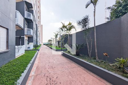 Apartamento à venda com 61m², 2 quartos e 1 vagaÁrea comum