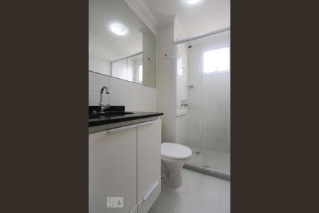 Banheiro Social de apartamento para alugar com 2 quartos, 65m² em Jaguaré, São Paulo