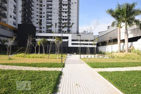 Apartamento para alugar com 55m², 2 quartos e 1 vaga Apartamento para alugar com 55m², 2 quartos e 1 vagaJardim