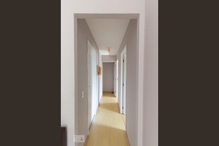 Corredor de apartamento para alugar com 3 quartos, 94m² em Lar São Paulo, São Paulo