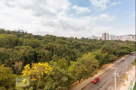 Vista da Varanda de apartamento à venda com 3 quartos, 100m² em Castelo, Belo Horizonte