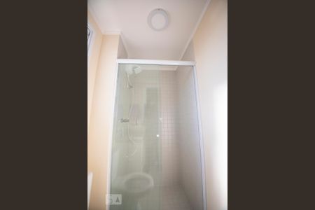 Banheiro de apartamento para alugar com 2 quartos, 56m² em Jardim Paulicéia, Campinas
