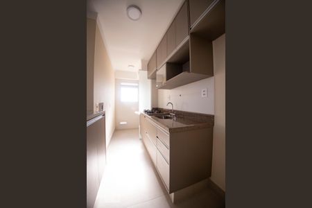 Cozinha de apartamento para alugar com 2 quartos, 56m² em Jardim Paulicéia, Campinas