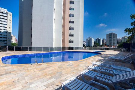 Área comum - Piscina de apartamento para alugar com 2 quartos, 70m² em Jardim Oriental, São Paulo