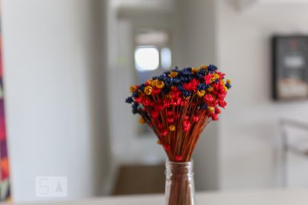 Apartamento à venda com 49m², 2 quartos e 1 vaga Apartamento à venda com 49m², 2 quartos e 1 vagaSala Detalhe