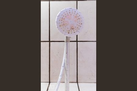 Detalhe banheiro de casa à venda com 1 quarto, 60m² em Jardim das Camélias, São Paulo