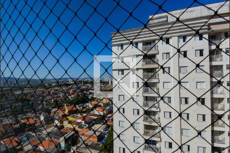 Vista da Sala de apartamento à venda com 3 quartos, 63m² em Ponte Grande, Guarulhos