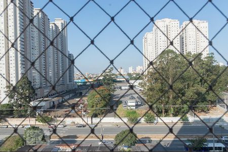Apartamento para alugar com 97m², 4 quartos e 2 vagas Apartamento para alugar com 97m², 4 quartos e 2 vagasVista do Quarto 2