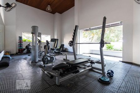 Apartamento para alugar com 65m², 2 quartos e 1 vaga Apartamento para alugar com 65m², 2 quartos e 1 vagaAcademia - Condomínio