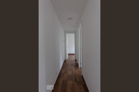 Corredor de apartamento para alugar com 2 quartos, 42m² em Jardim Parque Morumbi, São Paulo