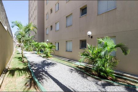 Apartamento para alugar com 55m², 2 quartos e 1 vaga Apartamento para alugar com 55m², 2 quartos e 1 vagaÁrea comum