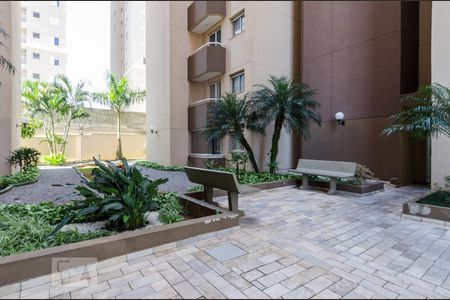 Apartamento para alugar com 55m², 2 quartos e 1 vaga Apartamento para alugar com 55m², 2 quartos e 1 vagaÁrea comum