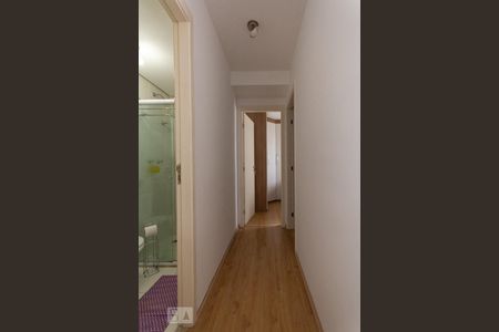 Corredor de apartamento para alugar com 2 quartos, 49m² em Parque Reboucas, São Paulo