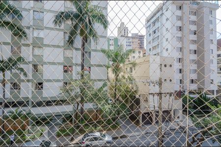 Apartamento para alugar com 3 quartos, 90m² em Cidade Jardim, Belo Horizonte