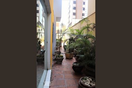 Apartamento à venda com 350m², 4 quartos e 4 vagasÁrea do apartamento 