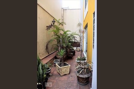 Apartamento à venda com 350m², 4 quartos e 4 vagasÁrea do apartamento 