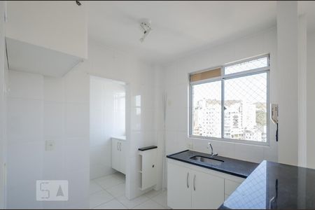 Cozinha de apartamento para alugar com 2 quartos, 60m² em Buritis, Belo Horizonte