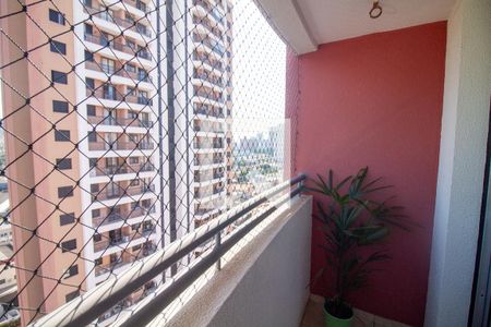 Terraço de apartamento para alugar com 2 quartos, 50m² em Chácara Santo Antônio (zona Sul), São Paulo