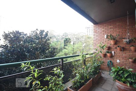 Apartamento à venda com 500m², 3 quartos e 6 vagasVaranda 3