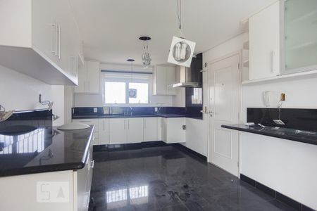 Cozinha de apartamento para alugar com 3 quartos, 174m² em Parque Prado, Campinas