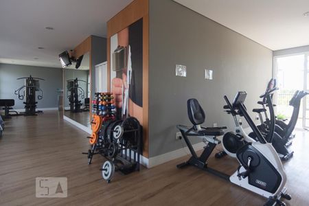 Dependências do condominio - academia de apartamento para alugar com 3 quartos, 174m² em Parque Prado, Campinas