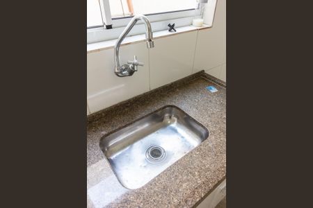 Cozinha Pia de apartamento para alugar com 2 quartos, 50m² em Barra Funda, São Paulo