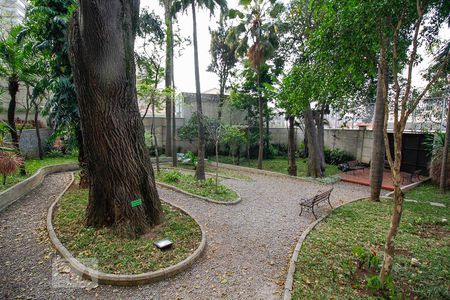 Apartamento para alugar com 260m², 4 quartos e 5 vagasBosque