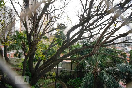 Apartamento para alugar com 260m², 4 quartos e 5 vagasVista da Suíte 4