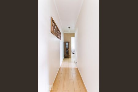 Corredor de apartamento para alugar com 2 quartos, 63m² em Parque Brasília, Campinas