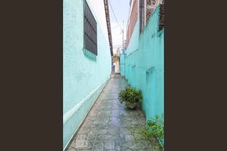 Entrada de casa para alugar com 1 quarto, 50m² em Tucuruvi, São Paulo