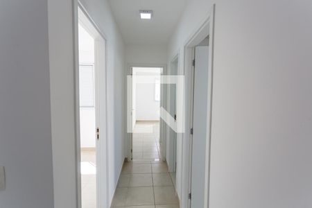 Corredor de apartamento para alugar com 3 quartos, 77m² em Nova Vista, Belo Horizonte