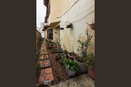 Casa para alugar com 545m², 5 quartos e 6 vagasCorredor Lateral