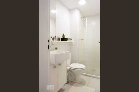 Banheiro de apartamento para alugar com 2 quartos, 46m² em Mooca, São Paulo