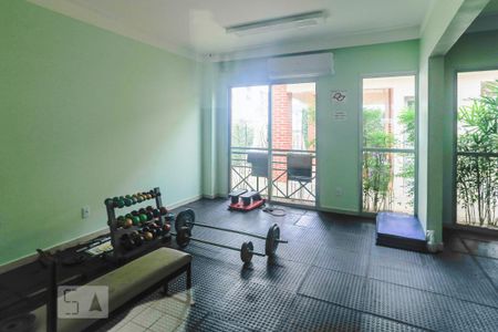 Área comum - Academia de apartamento à venda com 2 quartos, 50m² em Jardim Santa Cruz (sacomã), São Paulo