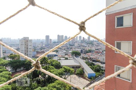 Apartamento para alugar com 335m², 4 quartos e 3 vagasVista suite