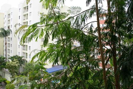 VISTA QUARTO 2 de apartamento para alugar com 2 quartos, 54m² em Vila Amélia, São Paulo
