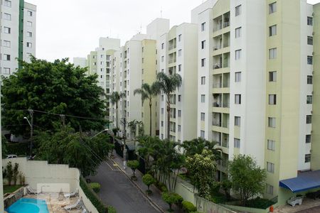 VISTA SALA de apartamento para alugar com 2 quartos, 54m² em Vila Amélia, São Paulo