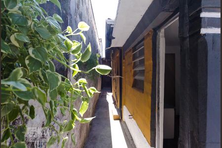 Area Comum - Corredor de casa para alugar com 1 quarto, 24m² em Chácara Califórnia, São Paulo