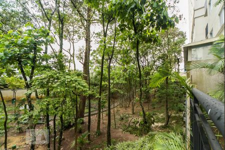 Apartamento à venda com 48m², 2 quartos e 1 vaga Apartamento à venda com 48m², 2 quartos e 1 vagaBosque