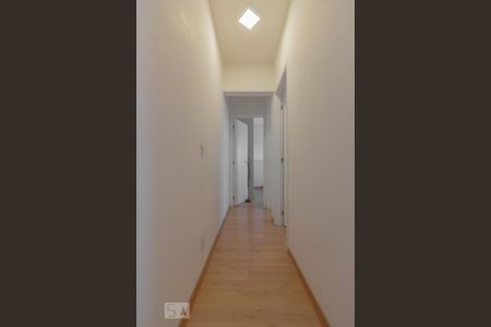 Corredor de apartamento para alugar com 2 quartos, 60m² em Ipiranga, São Paulo