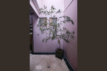 Área de Luz de casa para alugar com 3 quartos, 240m² em Perdizes, São Paulo