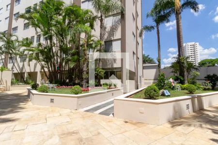 Área comum de apartamento para alugar com 3 quartos, 86m² em Santo Amaro, São Paulo