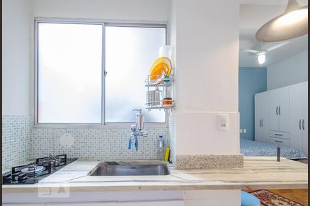 Cozinha de kitnet/studio para alugar com 1 quarto, 30m² em Cidade Jardim, Belo Horizonte